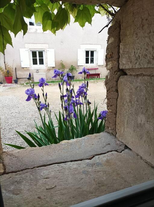 Gite De Charme - 3 Chambres, 5 Lits - De 4 A 7 Personnes Avanton Zewnętrze zdjęcie